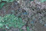 Rare Blue-Green Rouaite w/ Malachite & Cuprite - DR Congo #381389-1